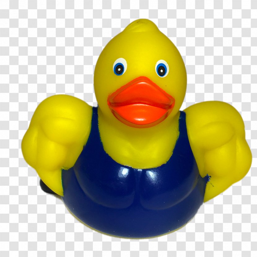 Rubber Duck Platypus Toy Muscle - Dog Toys Transparent PNG