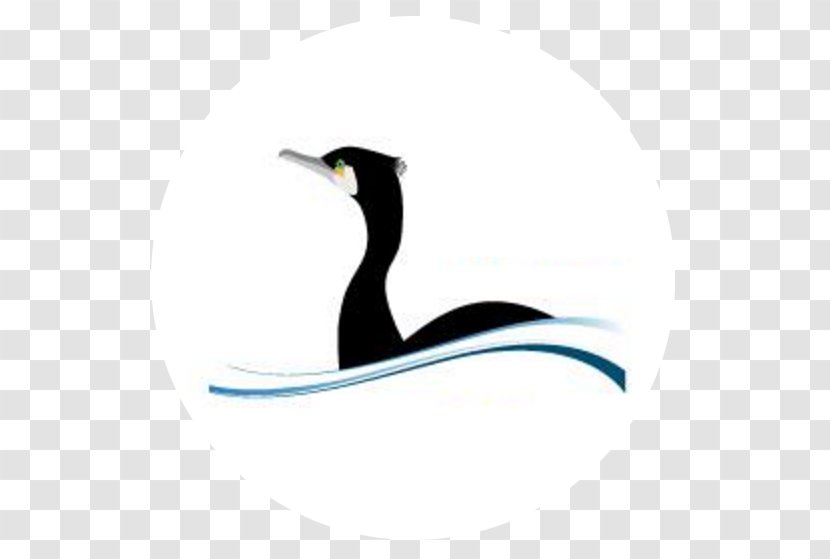 Penguin IJsselmeervereniging Water Bird - Ijsselmeer Transparent PNG