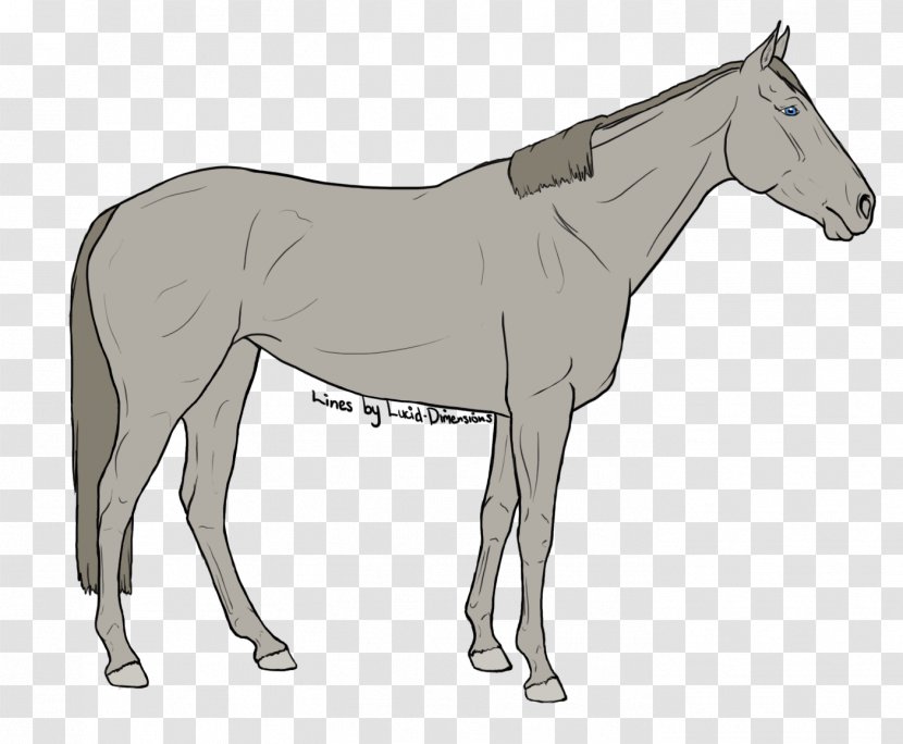 Vector Graphics European Pine Marten Illustration Thoroughbred - Line Art Transparent PNG