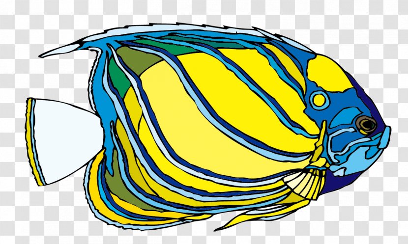 Euclidean Vector Ornamental Fish Illustration - Material Transparent PNG