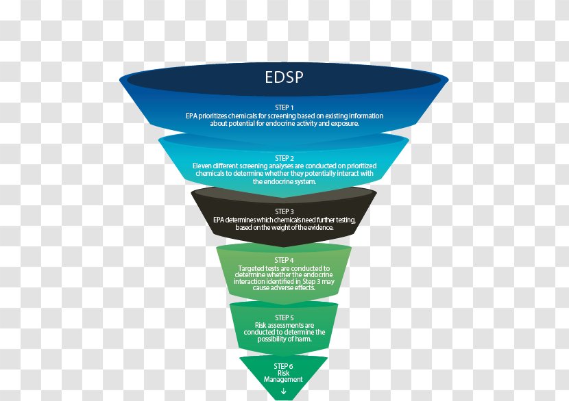 Endocrine Disruptor System Gland United States Environmental Protection Agency Human Body - Chemical Pollution EPA Transparent PNG