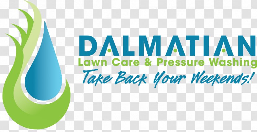Dalmatian Dog Lawn Care And Pressure Washing, LLC Jimbo Electric Brand Washers - Liquid Transparent PNG