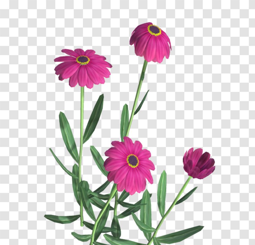Flower Clip Art - Plant - Floral Creative Decorative Icon Transparent PNG