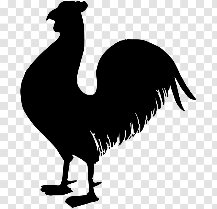 Chicken Rooster - Black And White Transparent PNG