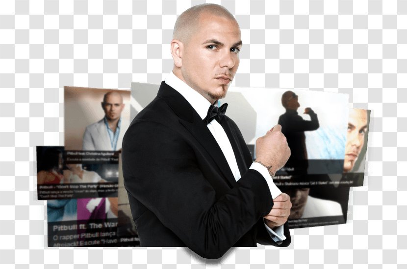 Pitbull Pit Bull Song Actor Greatest Hits - Cartoon Transparent PNG