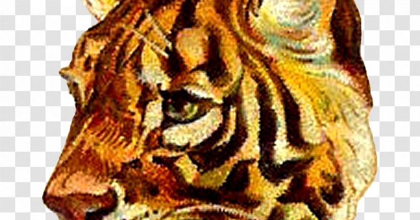 Tiger Roar Clip Art - Wildlife - Exquisite Album Transparent PNG