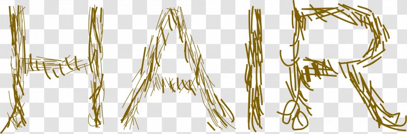 Hair Clip Art - Brass Transparent PNG