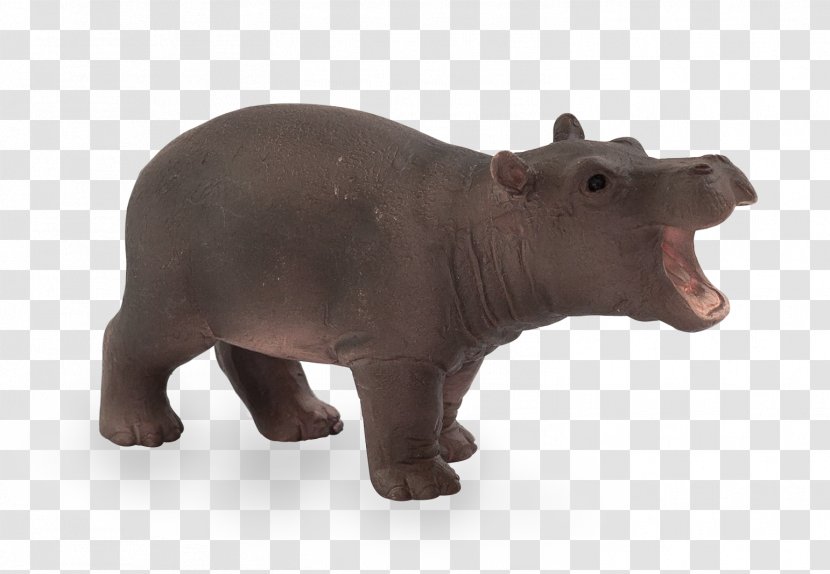 The Hippopotamus Rhinoceros Horse Wildlife - Child - Hippo Transparent PNG