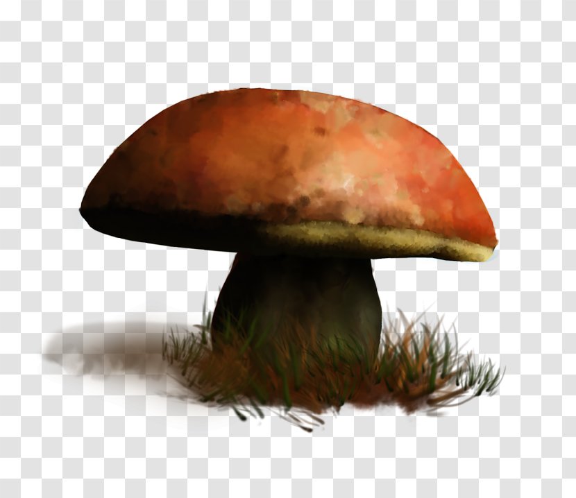 Edible Mushroom Fungus GIF Medicinal Fungi Transparent PNG