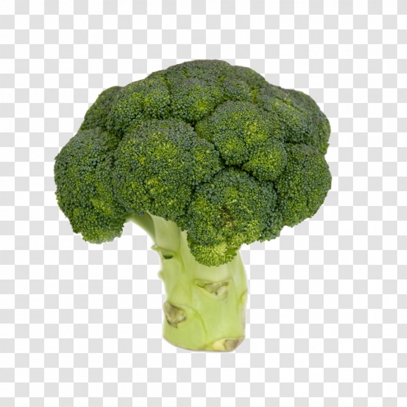 Broccoli Vegetable Food Transparent PNG