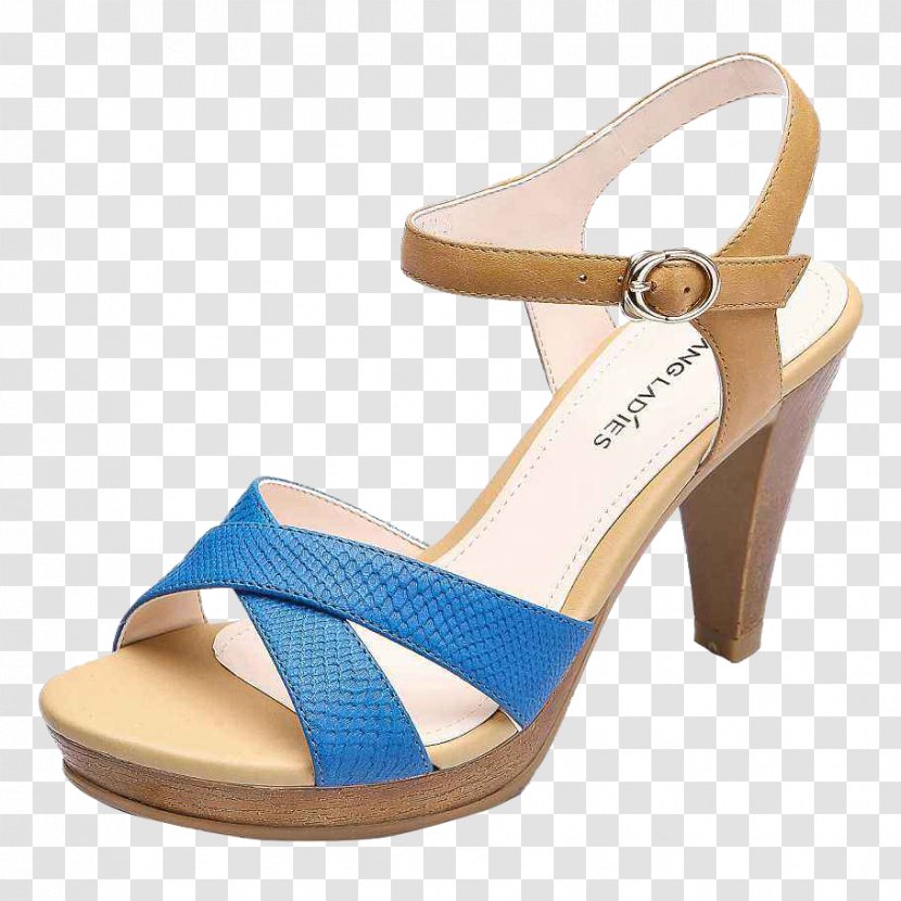 Sandal High-heeled Footwear Shoe - Heel - Blue Braid With High Heels Transparent PNG