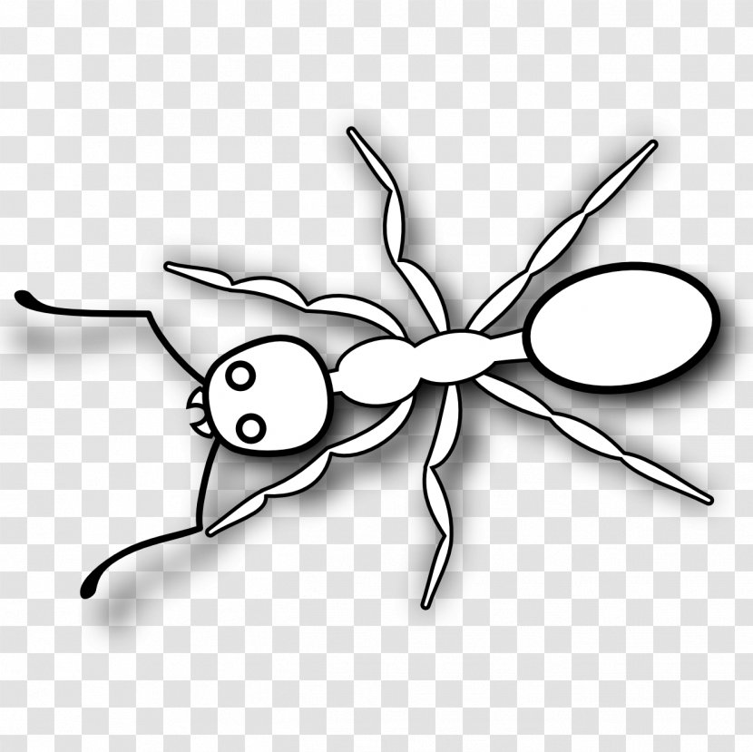 Ant Black And White Coloring Book Clip Art - Monochrome Photography - Ants Transparent PNG