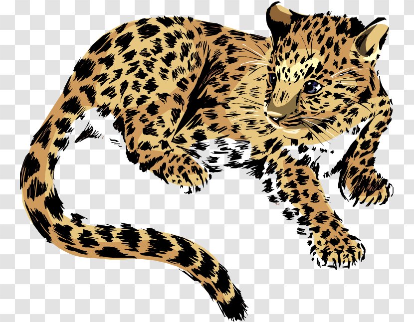 Jaguar E-Type Clip Art - Free Content - Mongoose Animal Pictures Transparent PNG