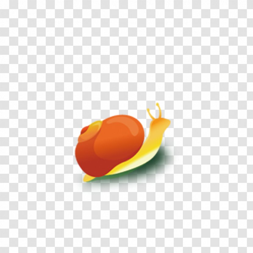 Download Icon - Orange - Snails Transparent PNG