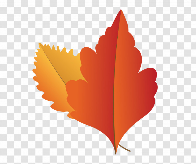 Maple Leaf Transparent PNG