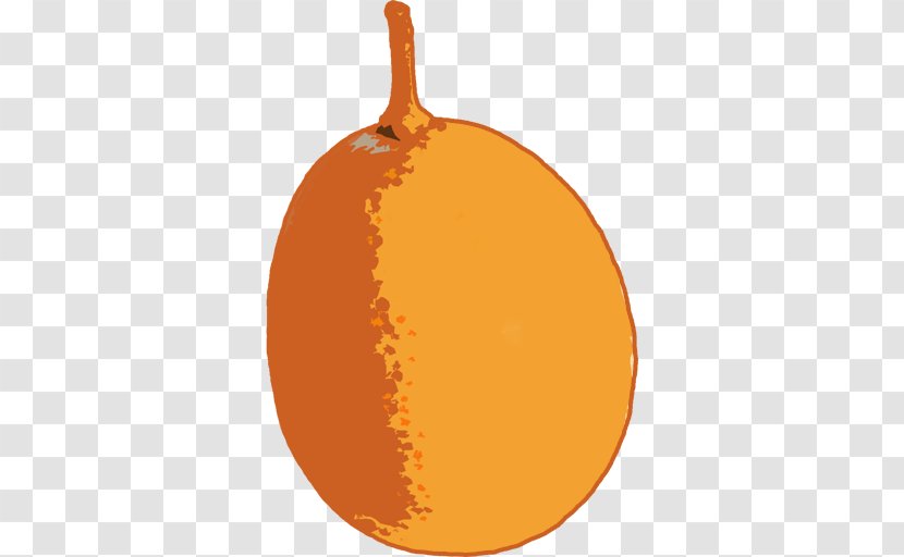 Pumpkin Winter Squash Calabaza Cucurbita Mandarin Orange Transparent PNG