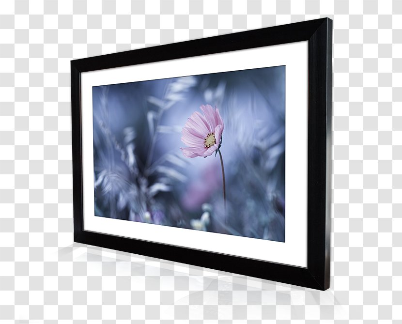 Picture Frames Photography Printing Display Device Canvas Print - Digital Image - Personalized Photo Frame Decoration Transparent PNG