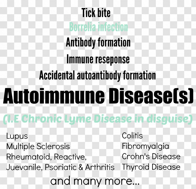 Chronic Lyme Disease Autoimmune Autoimmunity - Document Transparent PNG