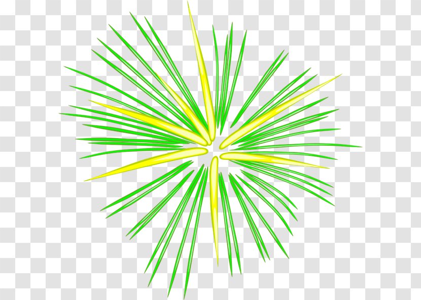 Fireworks Cartoon Clip Art - Homeowner Cliparts Transparent PNG