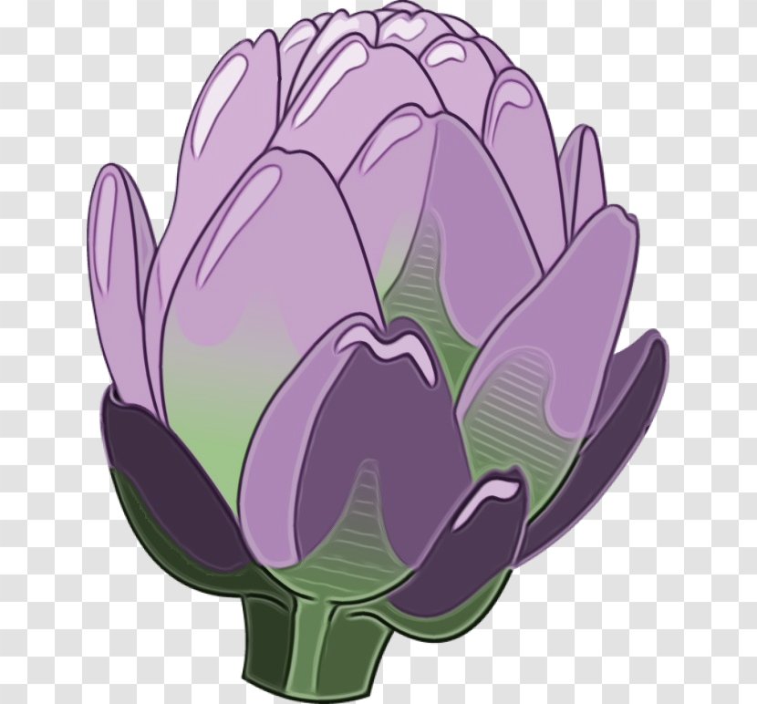 Tulip Purple Petal - Aquatic Plant - Water Lily Perennial Transparent PNG