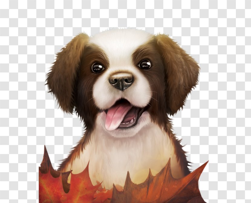 Mela Zawsze Pomou017ce Gwiazdka Z Nieba Jak Kto Mnie Przytuli? Grafit Pasazer Na Gape Beza Najlepsza Przyjaciolka - Carnivoran - Cute Dog Transparent PNG