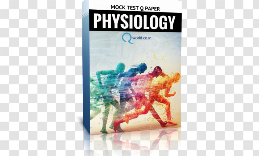 Running Desktop Wallpaper Walking Sports Image - Human Behavior - Exam Paper Transparent PNG