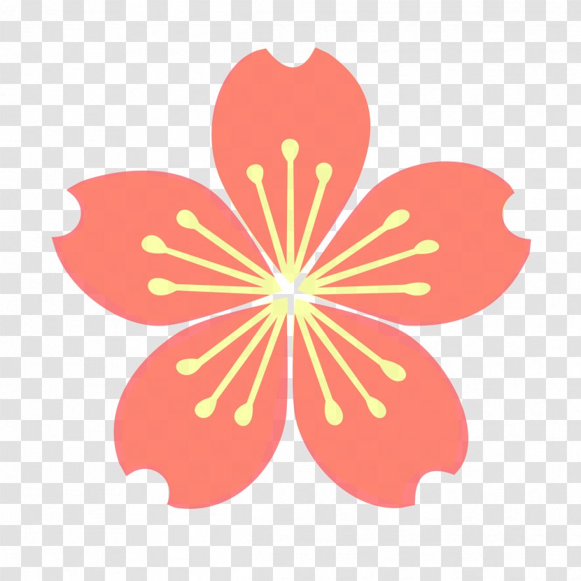 Cherry Blossom Clip Art - Plant - Spinner Cliparts Transparent PNG
