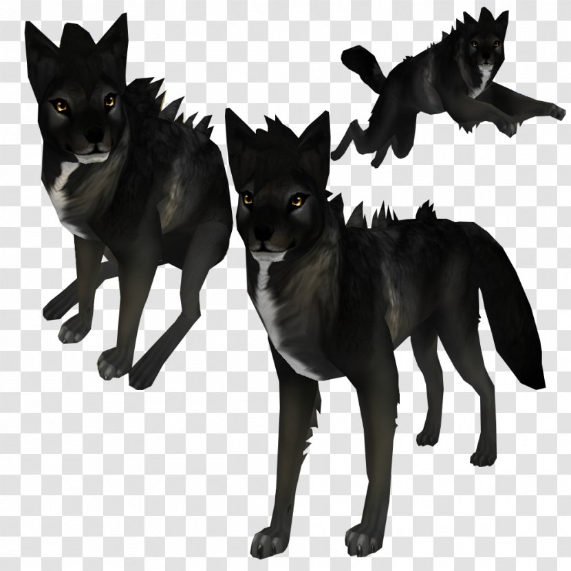 Dog Feral Animal Canidae Black Wolf Pet Transparent PNG