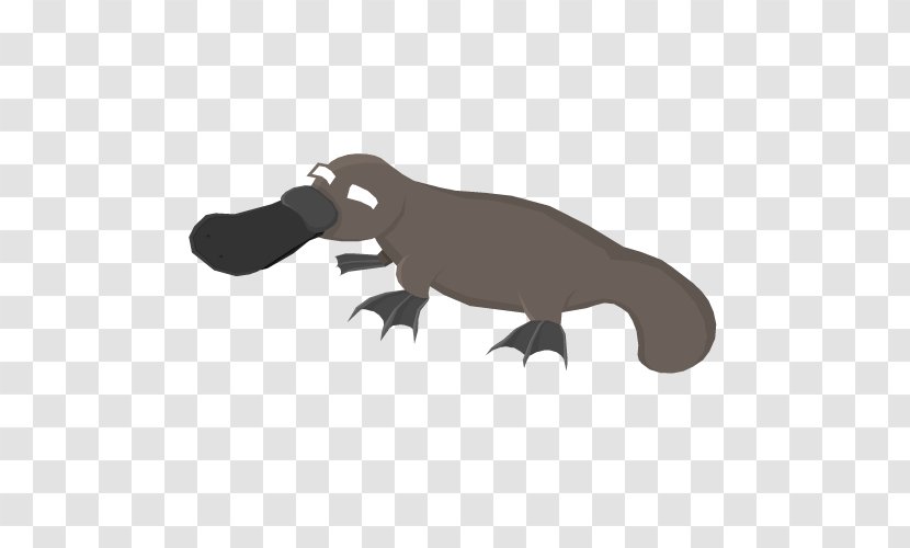 Platypus Dog Mammal Animal Anthony Massingham - Giant Anteater - Platypuses Transparent PNG