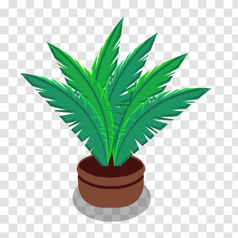 Arecaceae Houseplant Flowerpot - History - Plant Transparent PNG