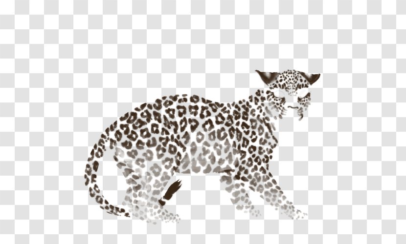 Whiskers Leopard Jaguar Cheetah Ocelot Transparent PNG