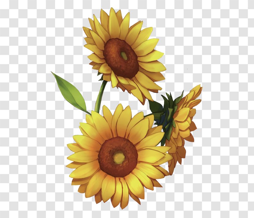 Common Sunflower Download Sunlight - Flower - Travel Service Transparent PNG
