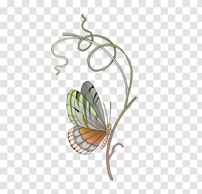 Monarch Butterfly Pieridae - Plant Stem Transparent PNG