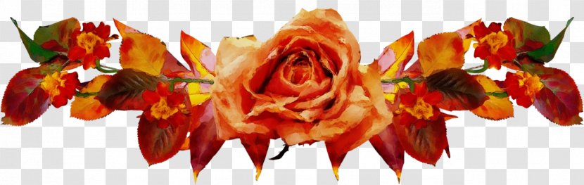 Red Watercolor Flowers - Rose Family - Hybrid Tea Order Transparent PNG