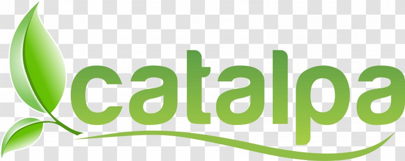 Oktan Oslo: Fullservice Digitalt Reklamebyrå Business Management Catabasis Pharmaceuticals Inc Industry - Leaf Transparent PNG