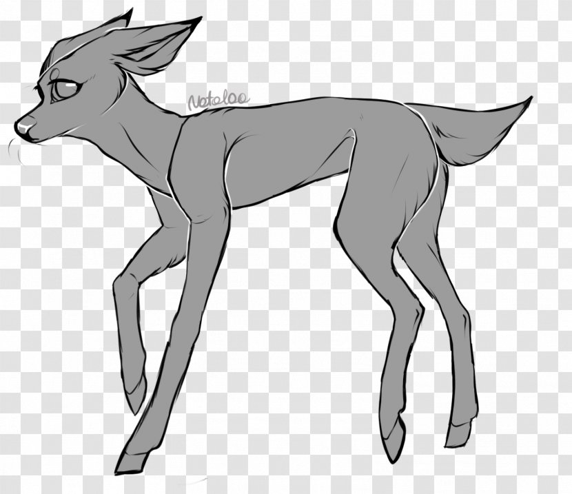 Reindeer Line Art Jackal Drawing - Artwork - Deer Transparent PNG