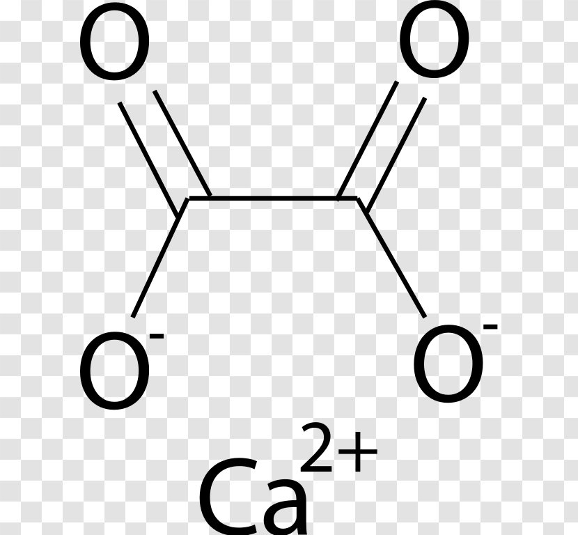 Calcium Oxalate Chloride Ammonium - Tree - Watercolor Transparent PNG