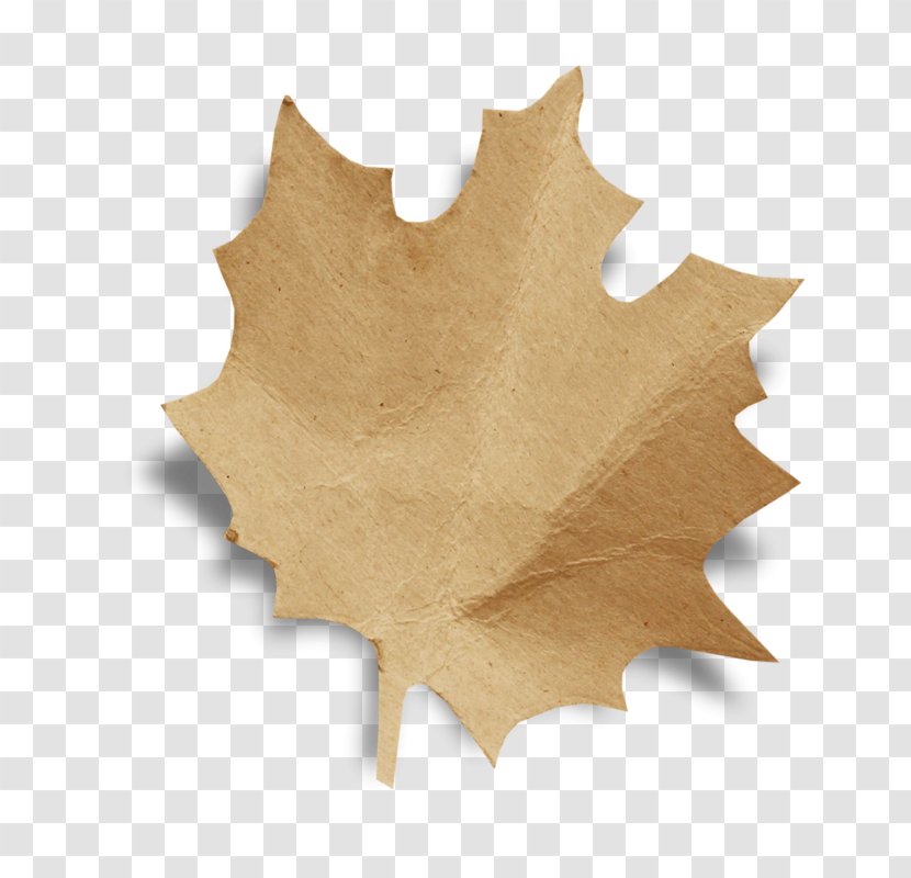 Leaf - Maple Transparent PNG