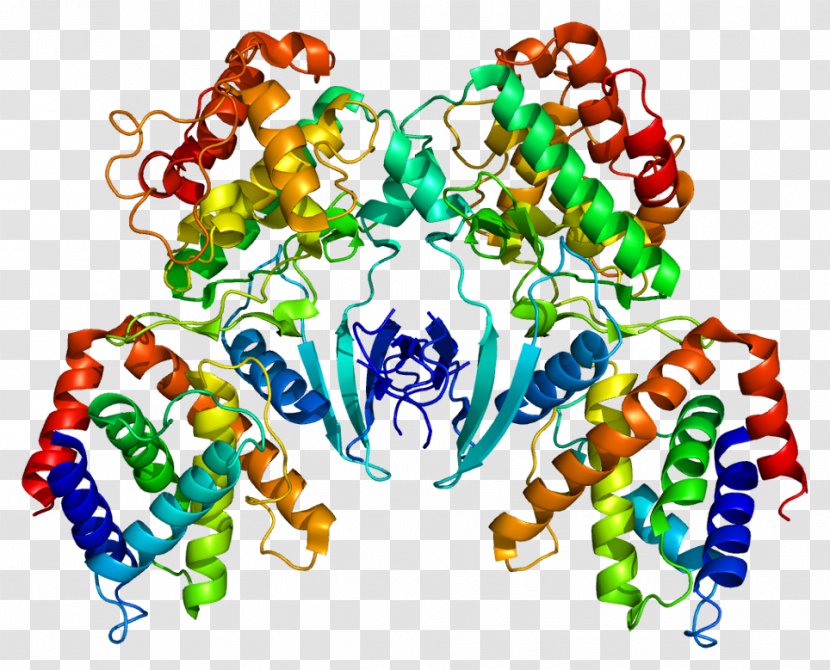 CDK5R1 Cyclin-dependent Kinase 5 Gene - Protein Structure - Cyclin Transparent PNG