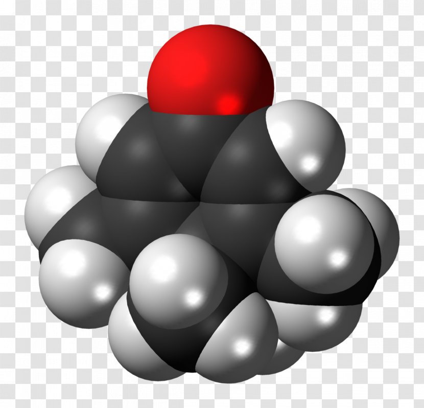 Ethyl Acetoacetate Penguinone Ketone Molecule Acetoacetic Acid - Frame - Cartoon Transparent PNG