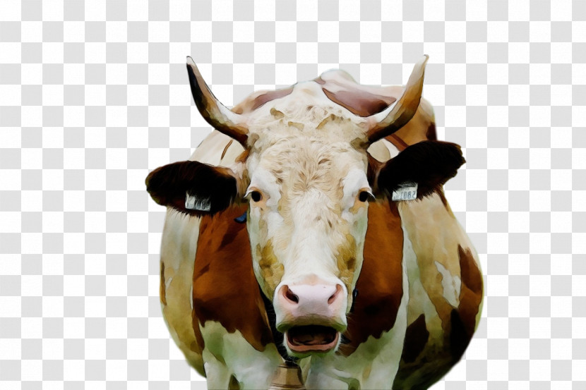 Dairy Cattle Texas Longhorn Toggenburg Goat Beef Cattle Livestock Transparent PNG