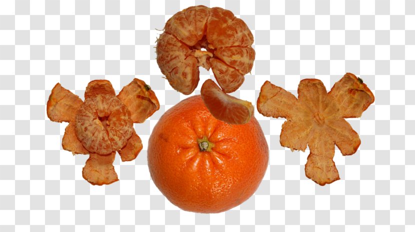 Clementine Tangerine Mandarin Orange Tangelo Bitter - Food - Cucurbita Transparent PNG