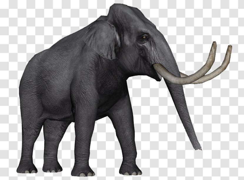 African Elephant Asian Zoo Tycoon 2 Elephantidae Elephas Hysudrindicus - Stegodon Transparent PNG