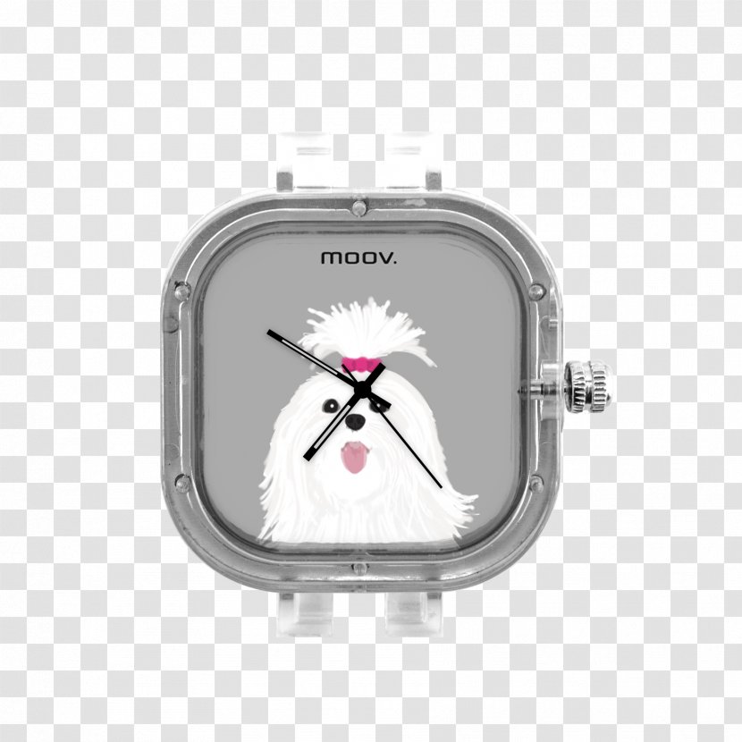 Rolex Daytona Watch Datejust Clock Transparent PNG