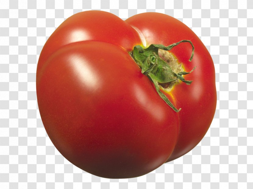 Plum Tomato Bush Fruit Food - Paprika Transparent PNG