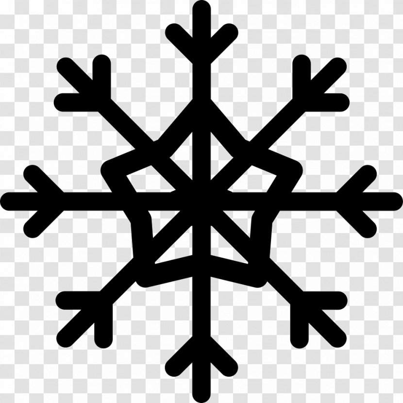 Health Care Patient Portal Clinic Informatics - Personal Record - Snowflake Black Transparent PNG