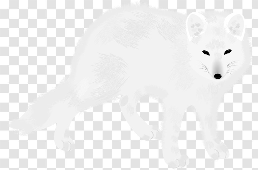 Fox Drawing - Whiskers - Tail Transparent PNG