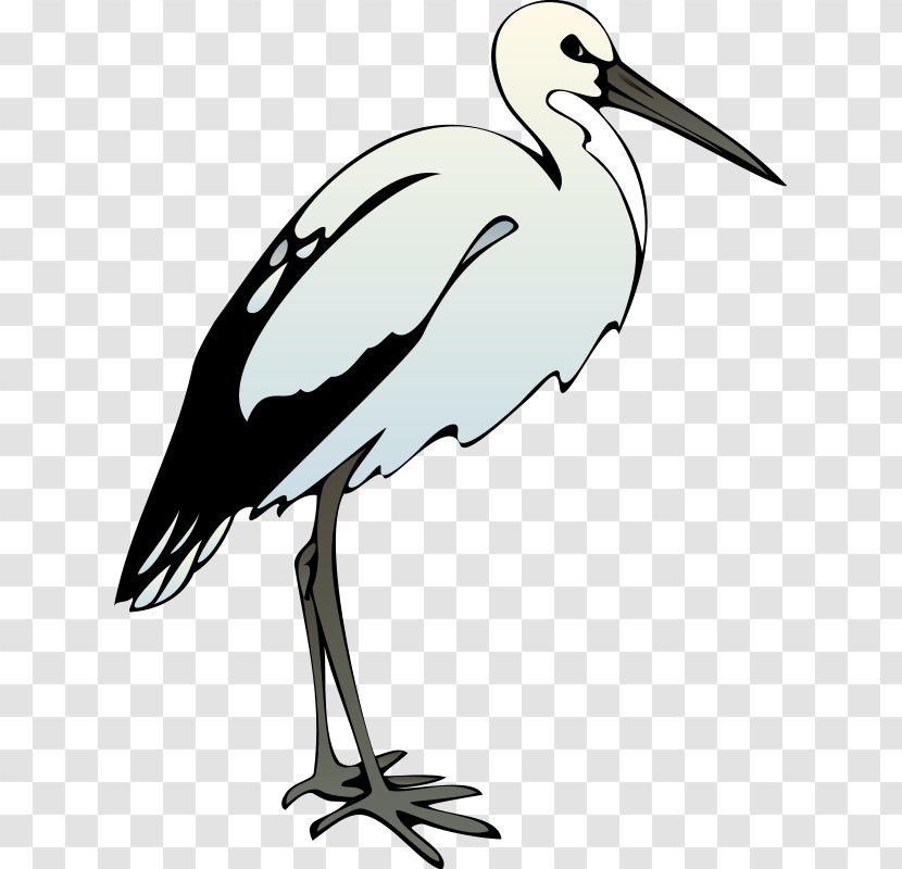 Bird American White Ibis African Sacred Clip Art - Feather - Free Bluebird Clipart Transparent PNG