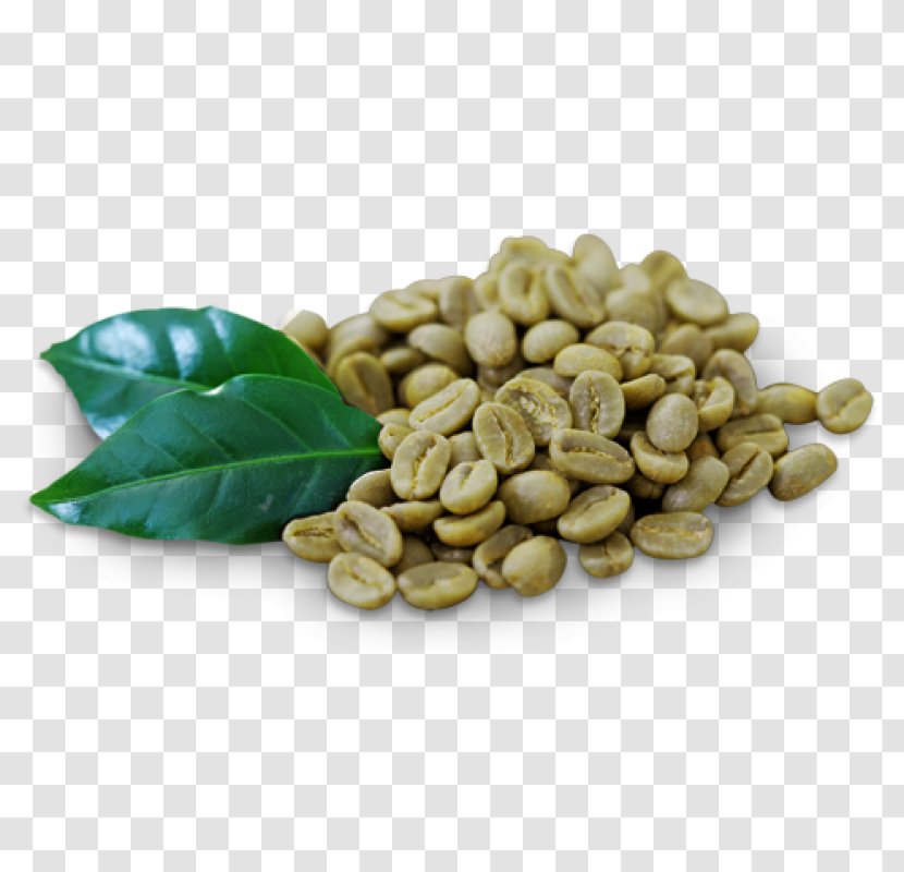 Green Coffee Extract Bean Tea - Food Transparent PNG