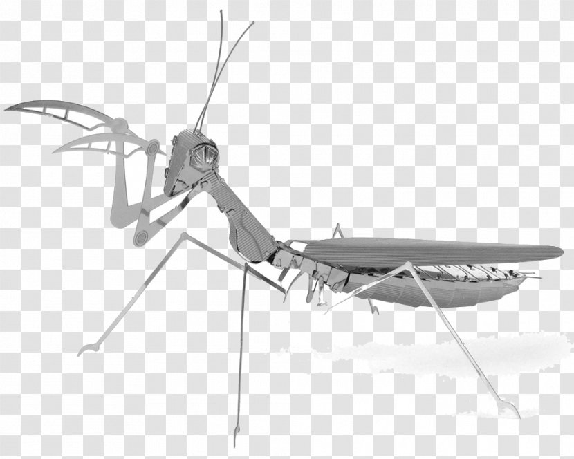 Insect Mantis Metal Earth Steel - Machine Transparent PNG